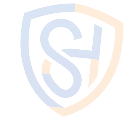 vector